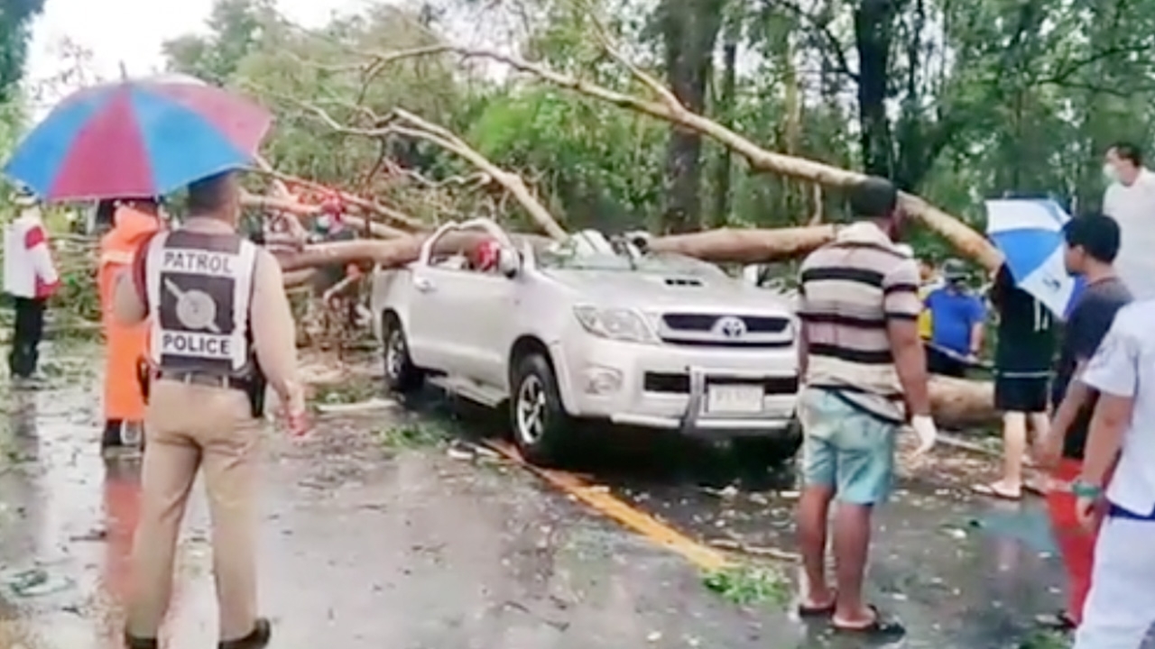 "พายุฝน" พัดต้นไม้โค่นทับกระบะยุบ เจ็บ 1 ดับ 1 สลดเจ้าตูบเฝ้าศพไม่ห่าง