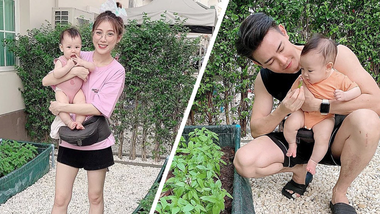 น่ารัก ฟลุค-แอปเปิ้ล ปลูกผักสวนครัวปลอดสารพิษไว้ทำกับข้าวให้ลูกสาวกิน