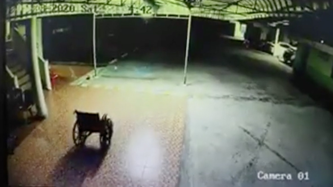 เจอดี วีลแชร์เดินหน้า ถอยหลังเองได้ "หมอปลา" เชื่อมีพลังงานบางอย่าง (คลิป)