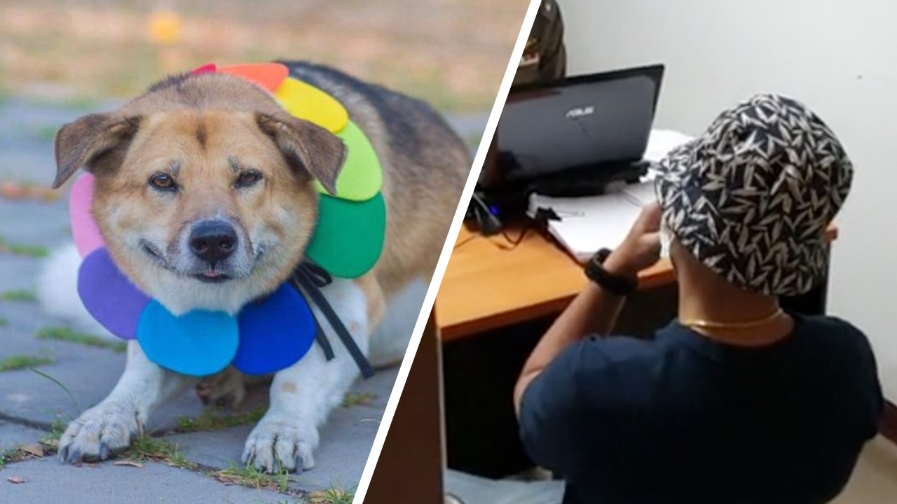 แจ้ง 3 ข้อหา ส.ต.ท.สังกัด ตชด.33 ต้องสงสัยฆ่า “เตี้ย มช.”