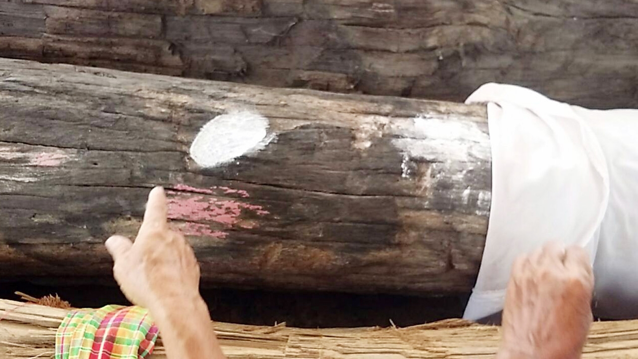 เลขเด็ด "แม่ตะเคียนภูกุ้มข้าว" ให้โชคถูกหลายงวด ชาวบ้านเจออีก 2 ตัวสวยๆ