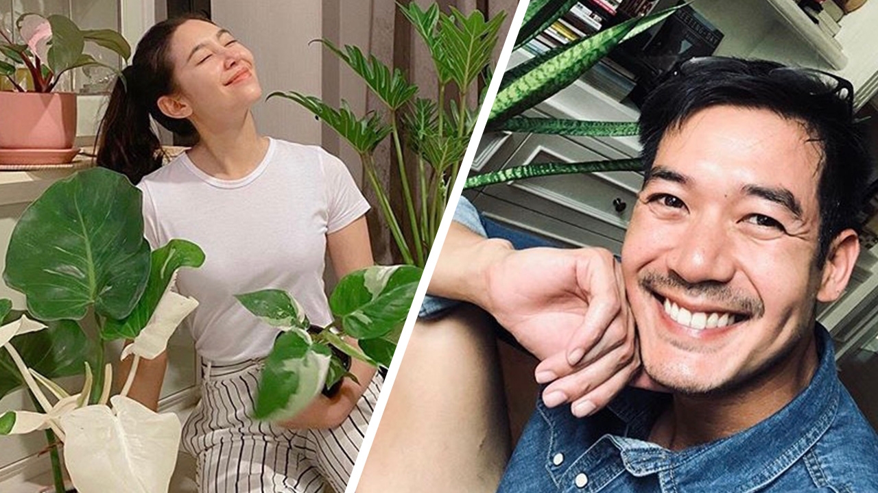 เบลล่า อินการปลูกต้นไม้มาก จนต้องหาทางออก เวียร์ หยอดต่ออยากให้มาดูที่บ้าน