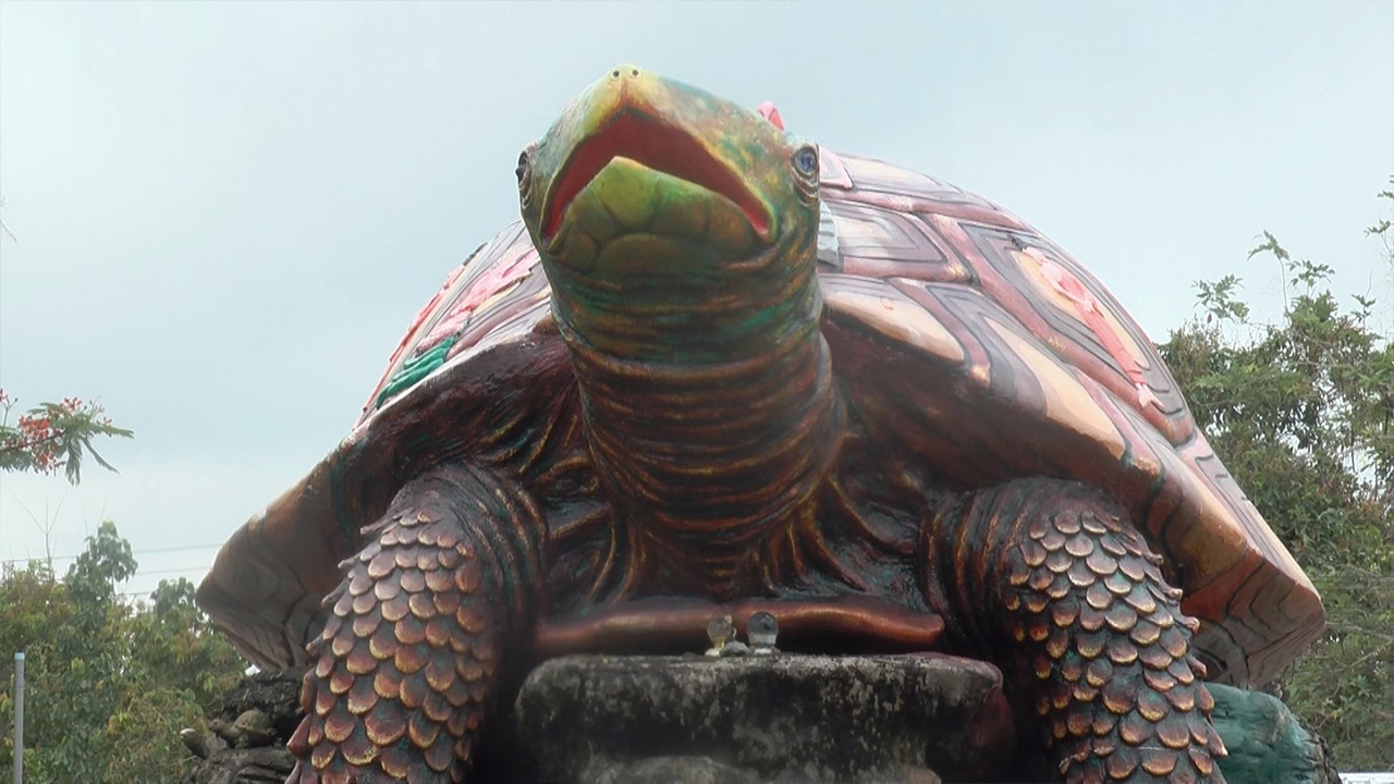 เภสัชกรสาวแก้บน "พญาเต่างอย" ลุ้นเลขเด็ดให้โชคจาก "แมวแตแม"