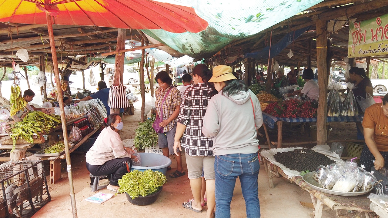 หลังฝนตกตลาดโสกหินขาวที่กาฬสินธุ์คึกคัก ชาวบ้านได้ของป่ามาขายมากขึ้น