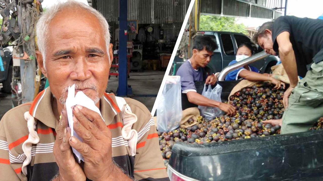 แห่ช่วยซื้อผลไม้ ลุงรถเสีย เหมาจากระยองจะไปขายบางปะกง รถพังกลางทาง