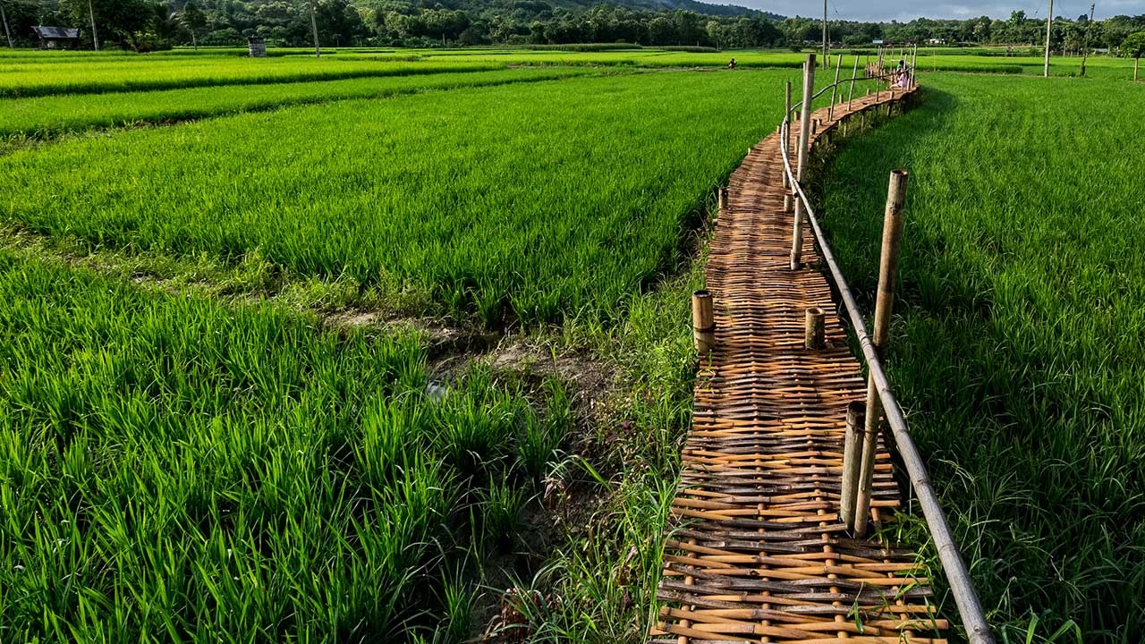 ครม.ไฟเขียวลดภาษีที่ดิน