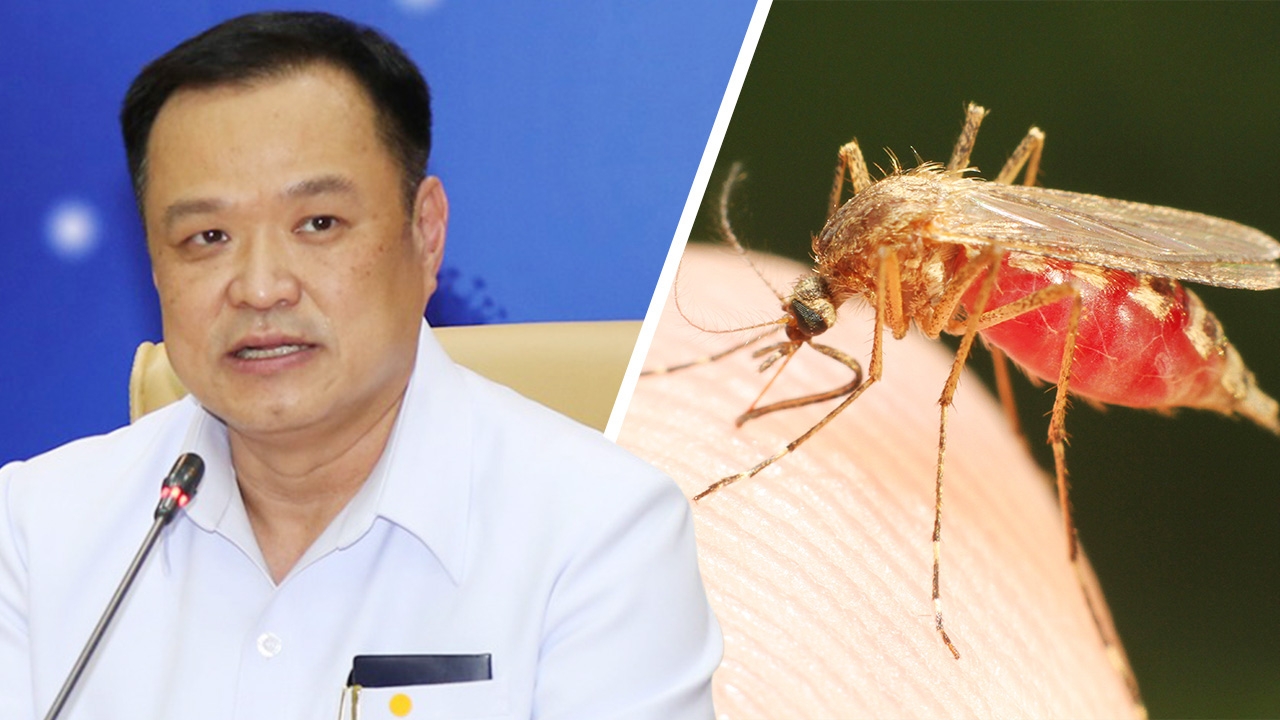 15 มิ.ย. วันไข้เลือดออกอาเซียน “อนุทิน” เผยปี 63 ป่วยแล้ว 1.6 หมื่น ตาย 11