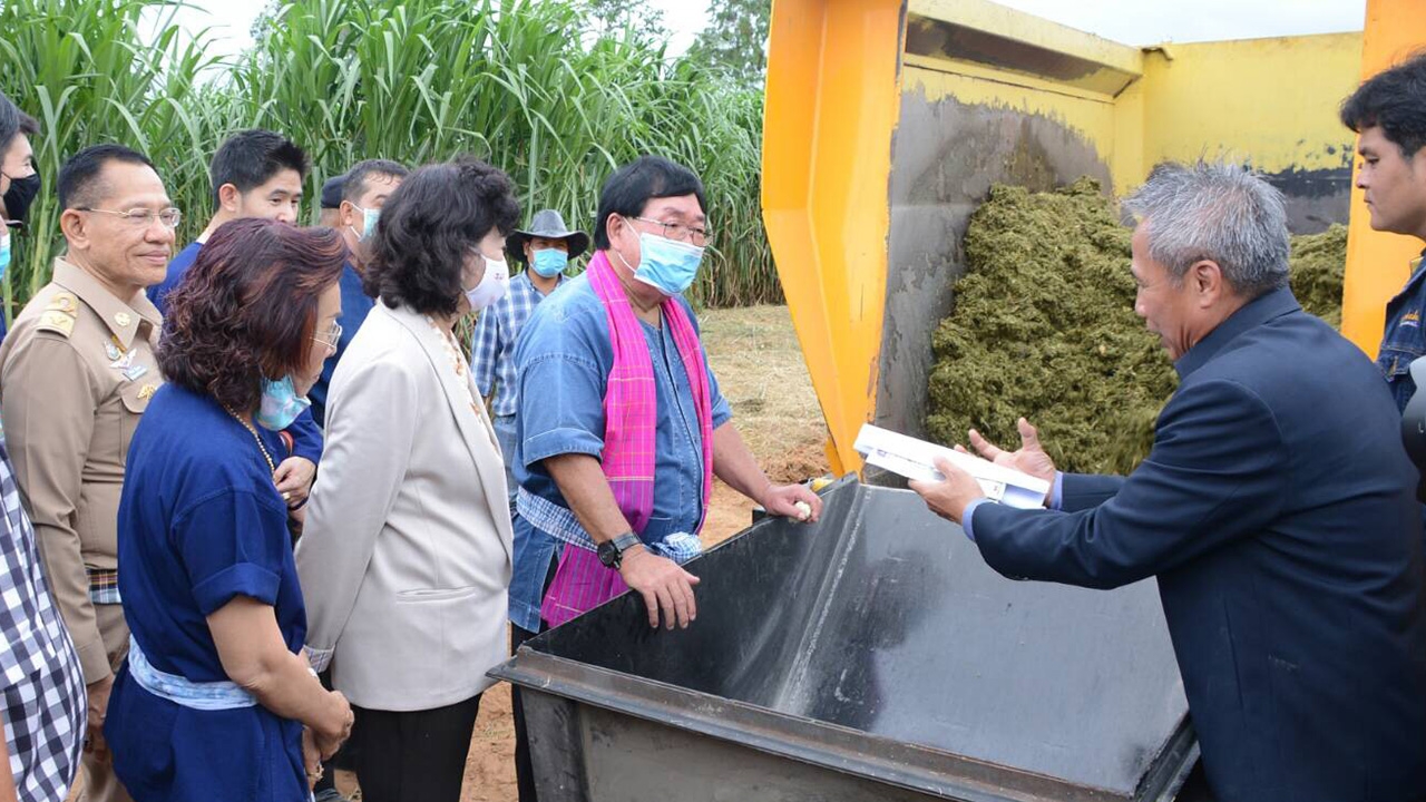 "ประภัตร" ลุยโคราชคิกออฟปลูกหญ้าเนเปียร์ อาหารผสมเสร็จสำหรับโคขุน