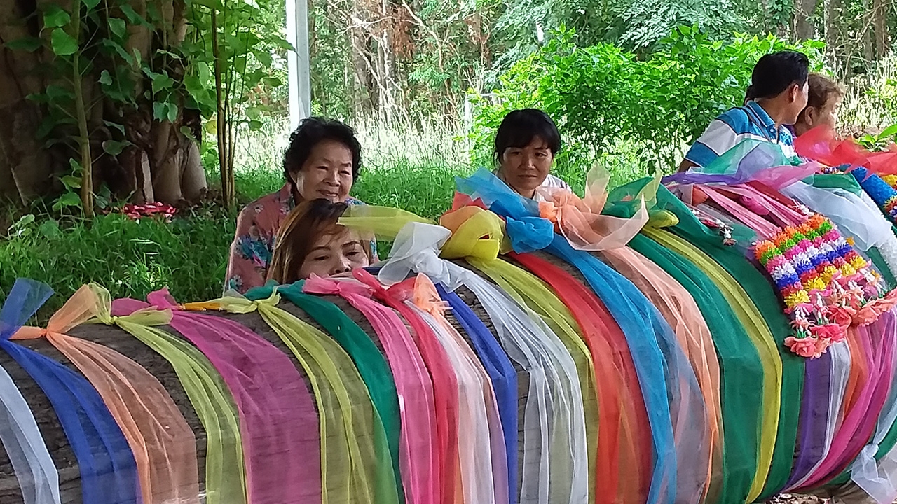 คนรักหวยยิ้ม เห็นเลขเด็ดต้นตะเคียนทอง "แม่นางน้อย" ได้ 2 ตัว 3 ตัวแจ่ม