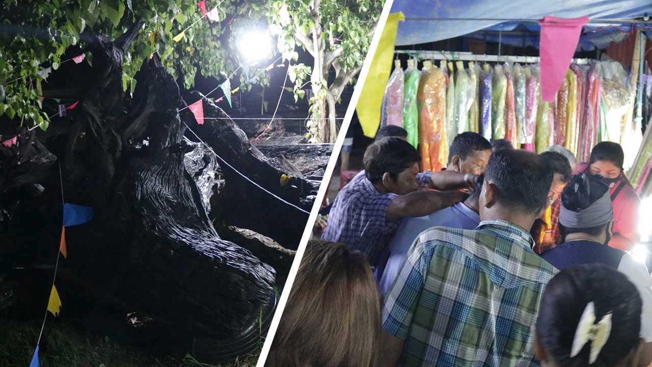 "ตะเคียนทอง" พี่น้อง เลขเด็ดโผล่เพียบ คอหวยส่อง ลุ้นเฮ 5 งวดติด  