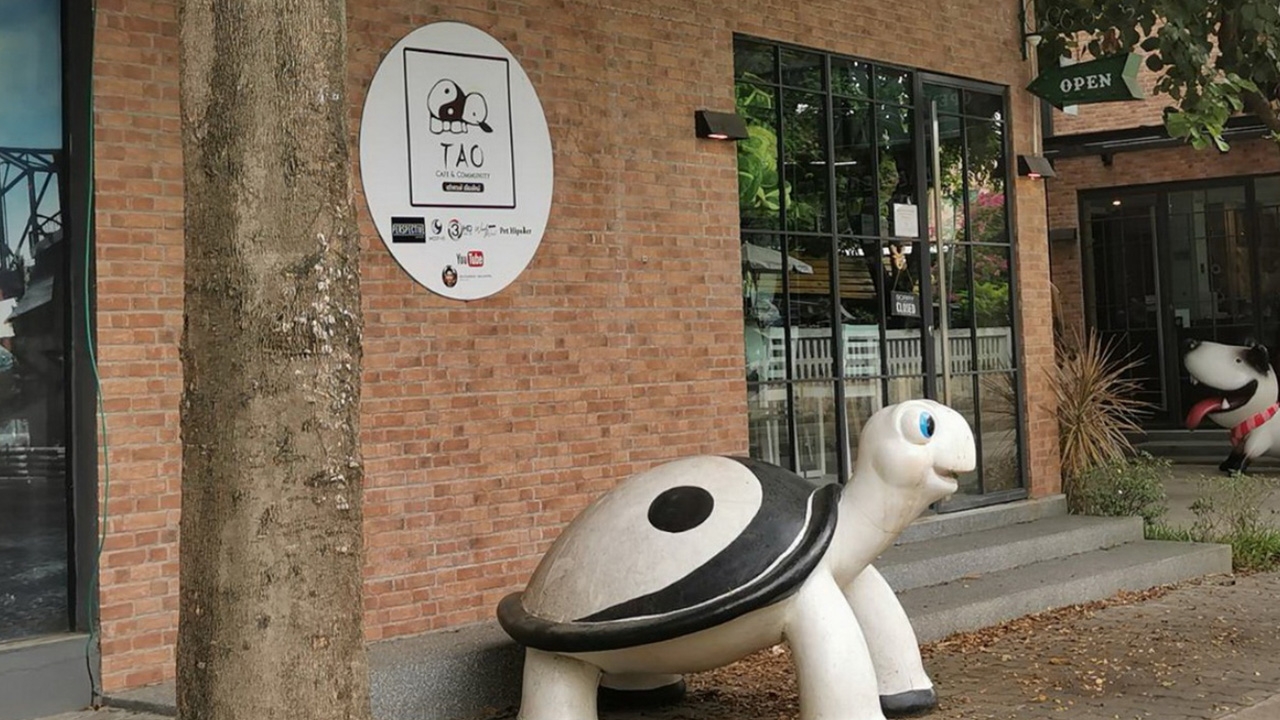 รองผู้การเชียงใหม่ เผย "ฌอน" เคยติดต่อจะชี้แจงกับผู้ใหญ่ แต่ไม่ออกสื่อ