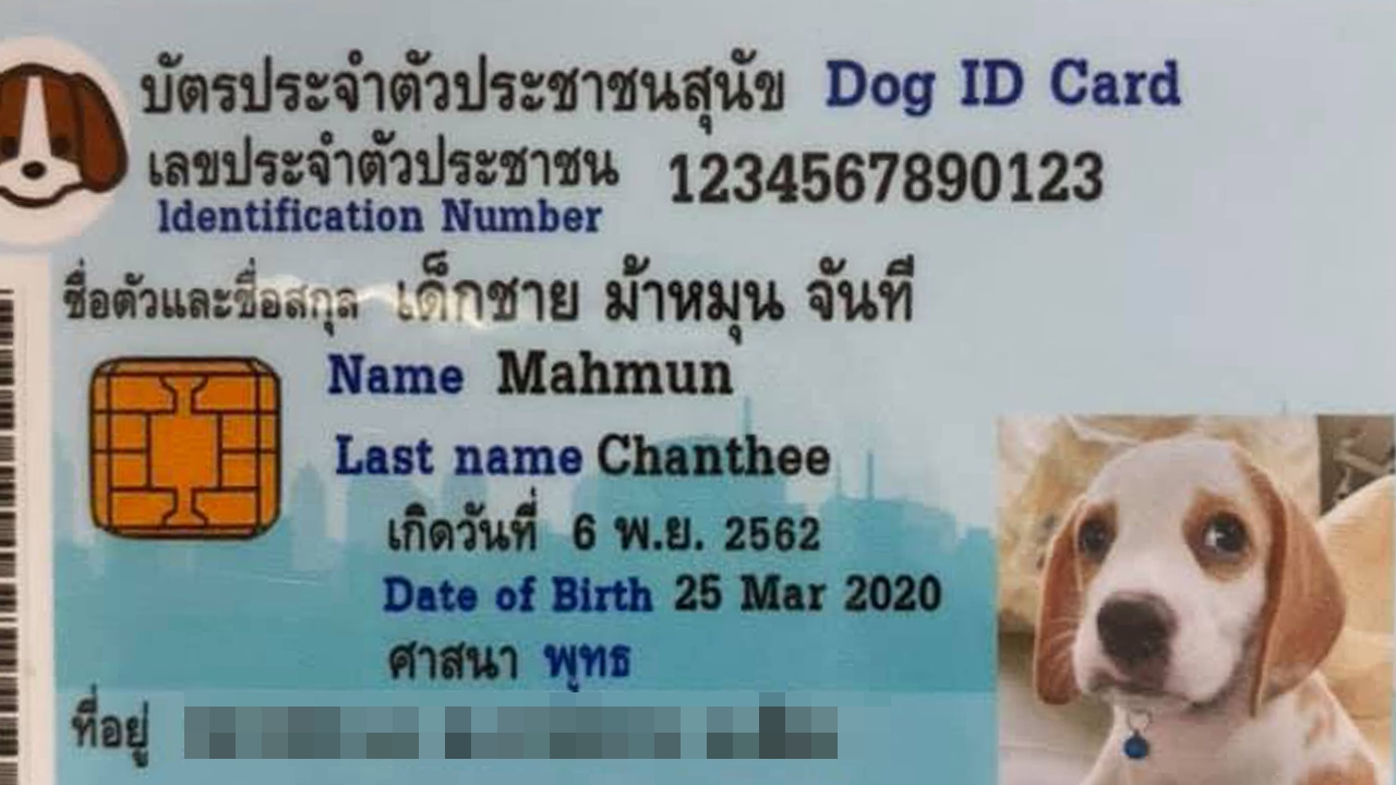 น่ารักจังลูก คนรักสัตว์แห่แชร์ บัตรประชาชนน้องหมา ระบุชื่อ-ที่อยู่ ครบ