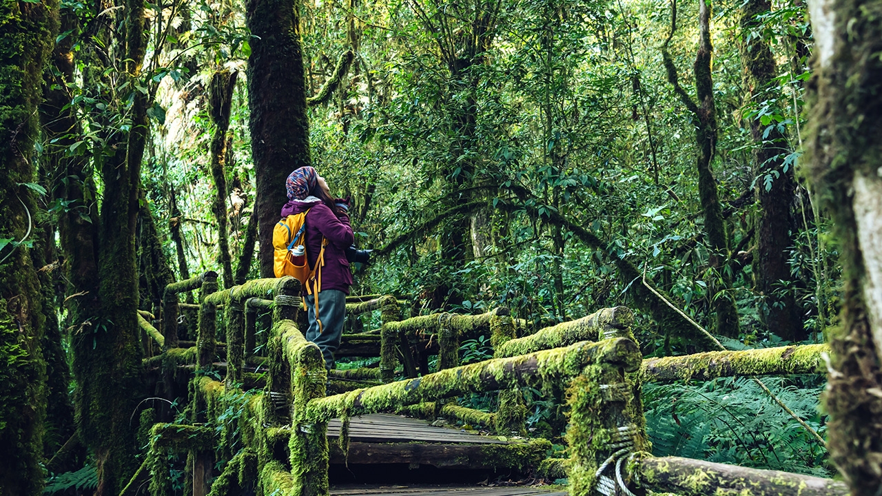 เที่ยวอุทยานฯ ต้องรู้ เที่ยวแบบใหม่ โหลดแอปฯ "QueQ" จองคิวล่วงหน้า 