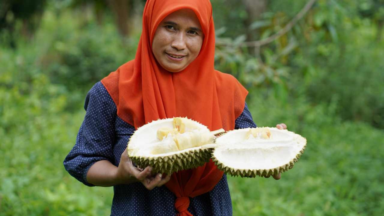 ตามไปกิน "ทุเรียนพื้นบ้านป่าหวัง" บันนังสตา เจ้าแห่งน้ำกะทิทุเรียน