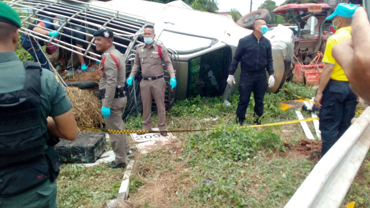 กระบะขนแตงโมคว่ำเทกระจาดที่สกลนคร ความแตก กัญชา 400 กก.ที่ซุกไว้โผล่หรา