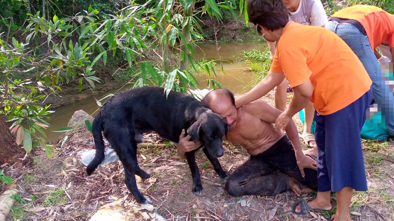 สาวใหญ่เป็นลมจมน้ำ สามีมาเจอศพร่ำไห้ กอดสุนัขคู่ใจนั่งเฝ้าที่ขอบสระ 