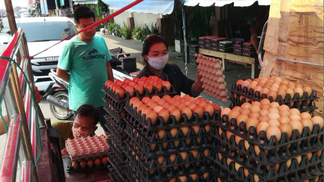 ไข่ไก่ราคาขยับไม่หยุด ไข่คละเบอร์ใหญ่ แผง 170 คนกินเริ่มท้อ