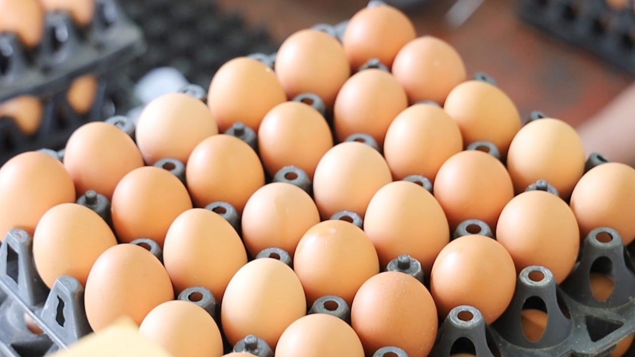 เสี่ยร้านไข่อุดรฯ ยันขายแผงละ 110 บาท ไม่ซ้ำเติมชาวบ้านจากพิษโควิด-19