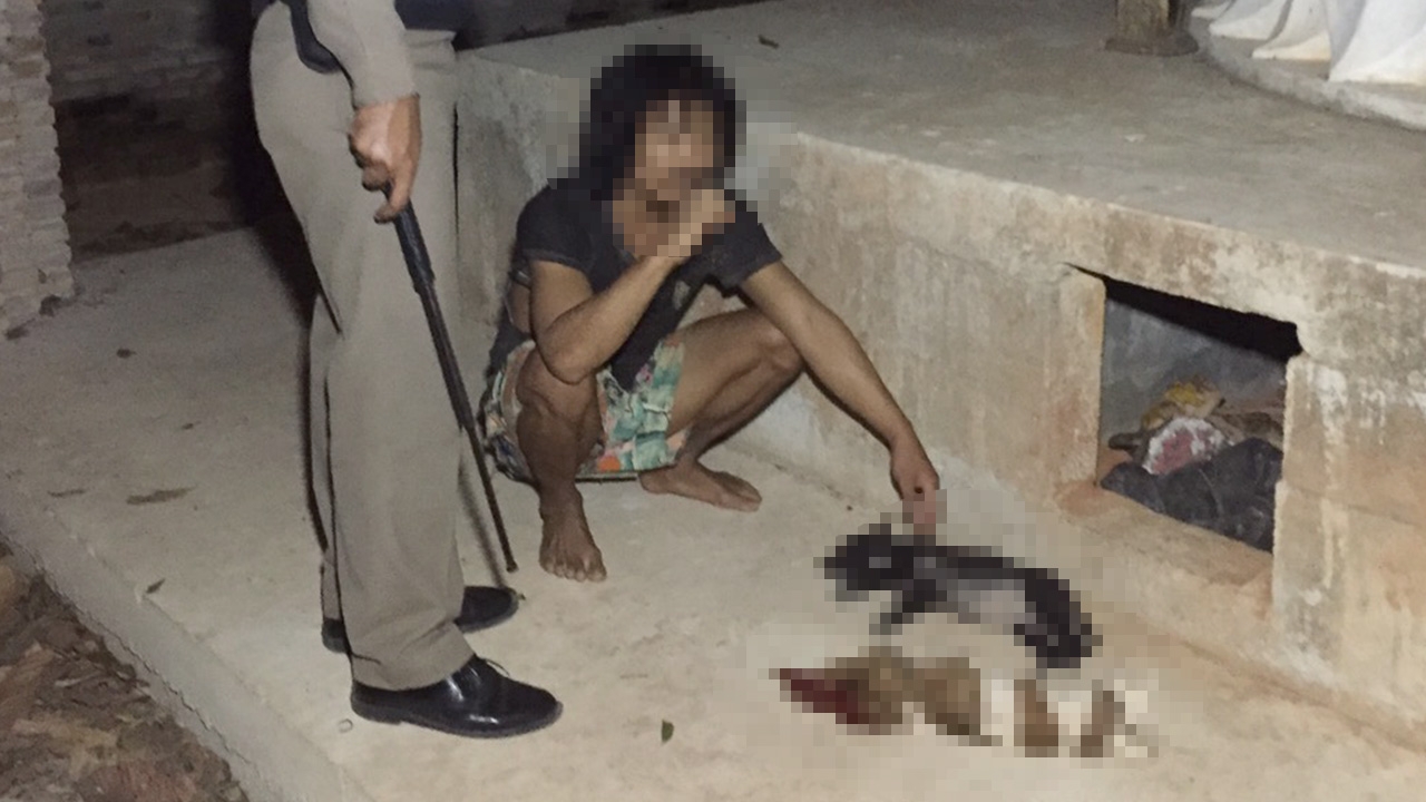 สะเทือนใจ รวบหนุ่มสติไม่ดี ทุบลูกหมาเดือนเศษตาย 3 ตัว คาวัดที่กระบี่