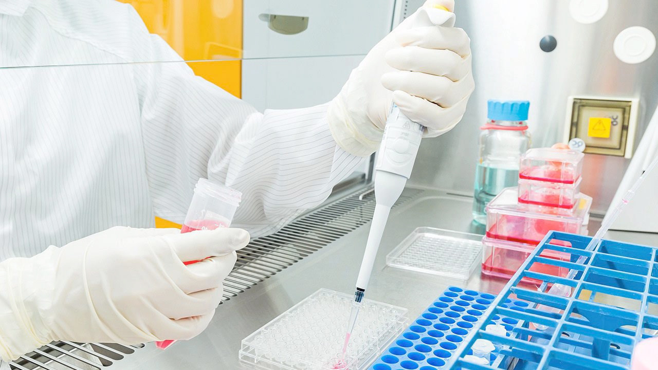 ชุดตรวจโควิด CRISPR