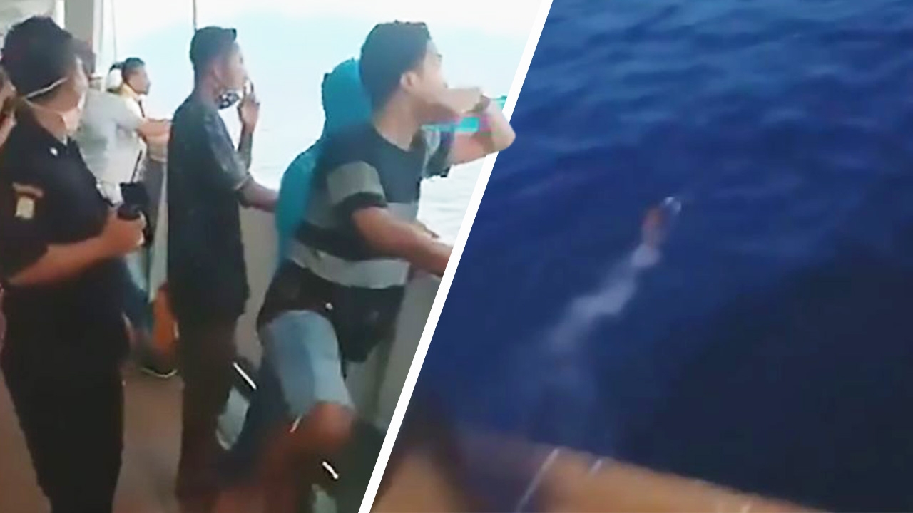 อึ้ง ลูกเรือเฟอร์รี่อินโดฯ โดดหนีลงทะเล ผวามีคนติดเชื้อโควิดบนเรือ (คลิป)