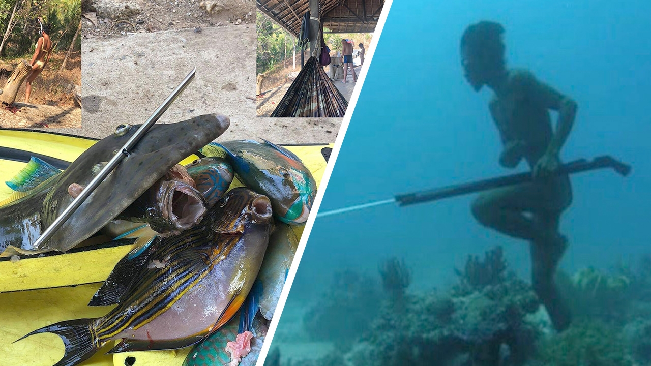 เย้ยพ.ร.ก.ฉุกเฉิน นักท่องเที่ยวจีนล่าปลานกแก้ว รมว.ทส.สั่งจัดการแล้ว