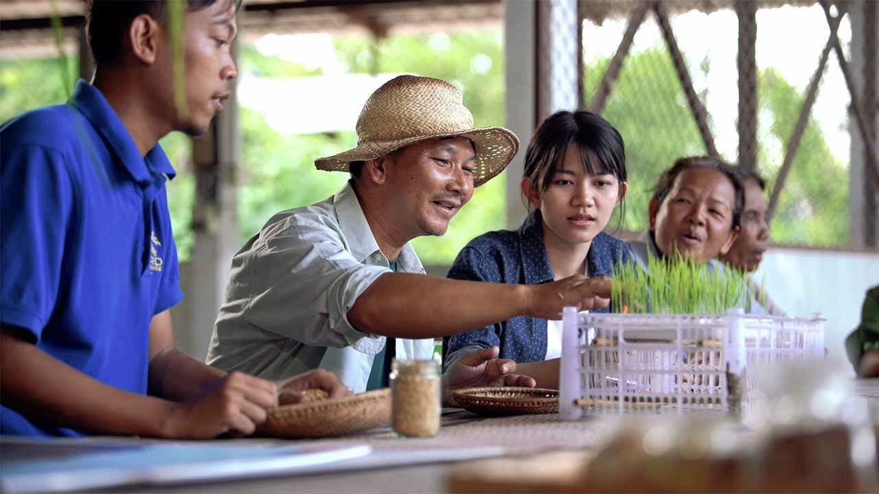 ทุ่งกุลา...ยิ้มได้ ตราฉัตรสอนปลูกข้าวคุณภาพ