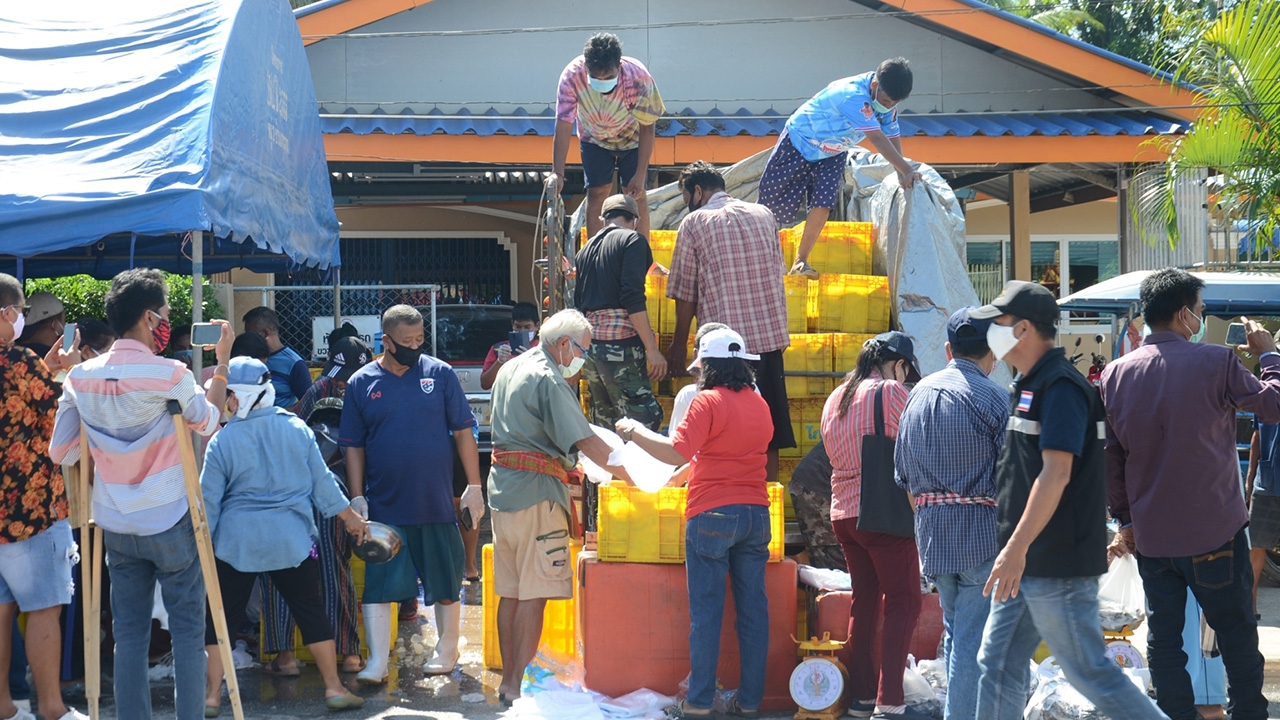 คนไทยต้องช่วยกัน ไต๋เรือประมงใจดี แจกปลาฟรี 4 ตันแก่ชาวบ้านสู้โควิด-19