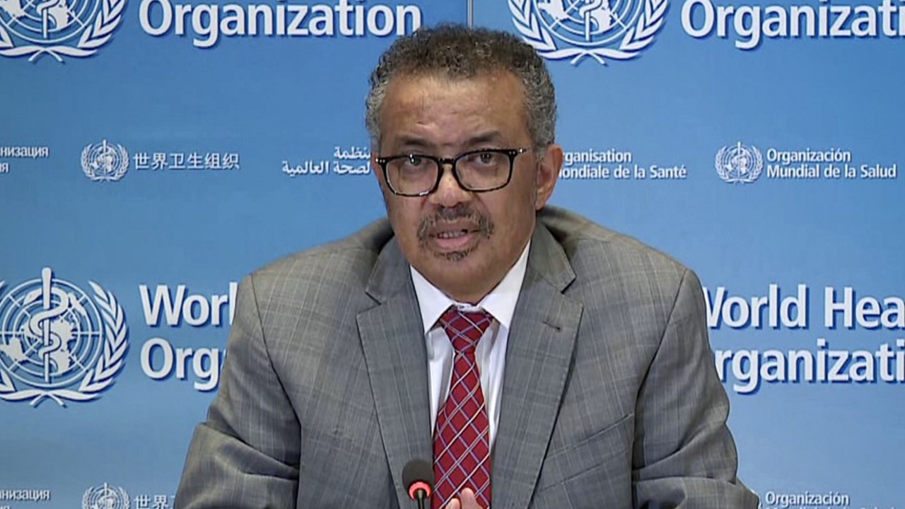 WHO ชี้เชื้อโควิด ดูเหมือนมีต้นกำเนิดจากค้างคาว ไม่ได้หลุดจากห้องแล็บ