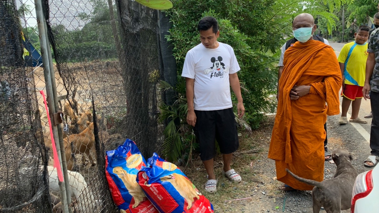 งานหาย รายได้ไม่มี ตลก "ต๊ะติ๊งโหน่ง" วอนบริจาคอาหารช่วยสุนัขเลี้ยงไว้กว่า 400 ตัว