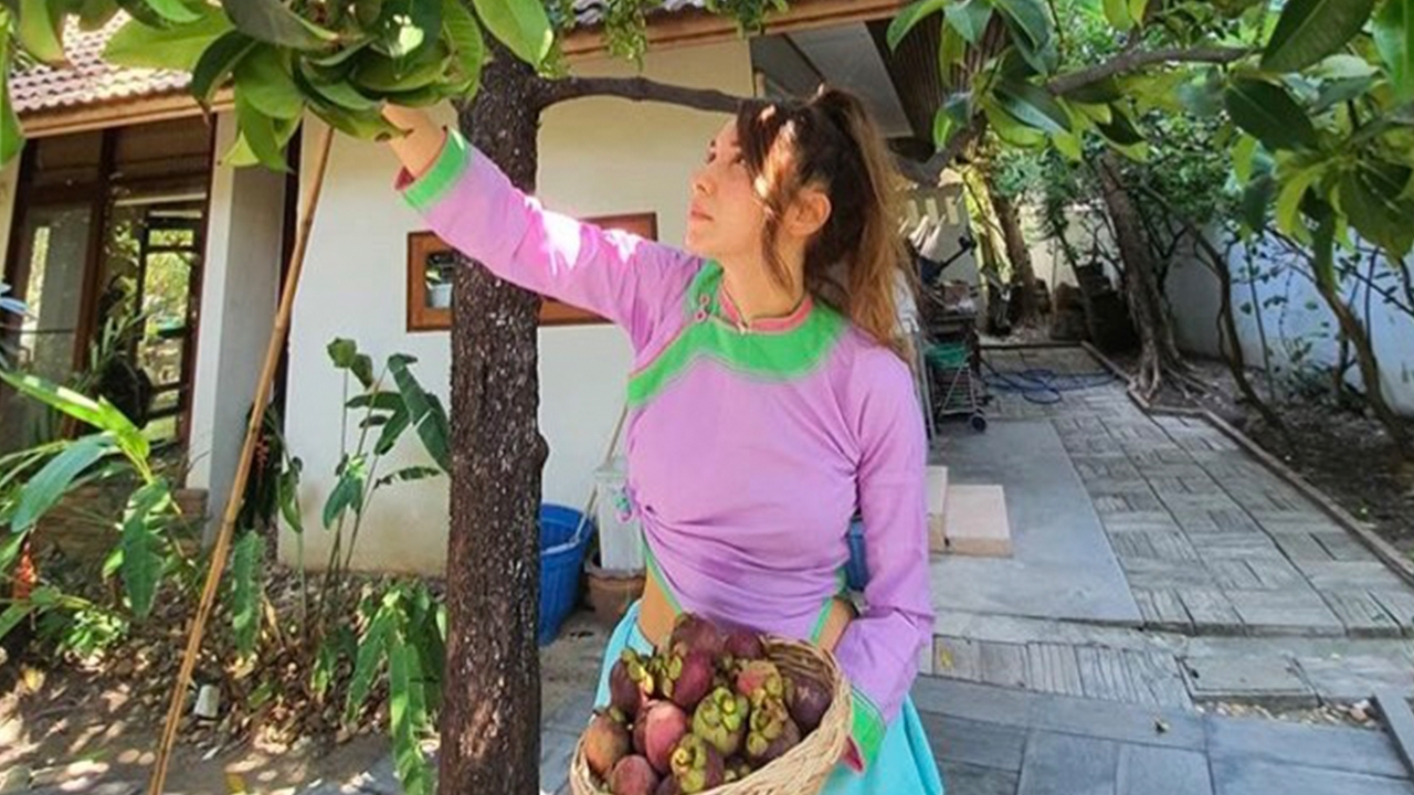 ปาล์มมี่ โชว์มังคุดที่ปลูกในบ้านมา 10 ปีออกลูก วันนี้แย่งกระรอกกินทัน