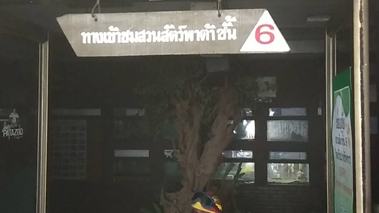 ไฟฟ้าลัดวงจรไหม้แผงไฟเหนือตู้จัดแสดงงู ควันโขมง ห้างพาต้าปิ่นเกล้า