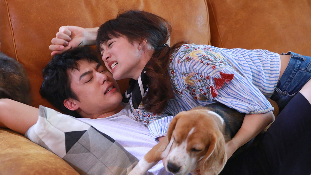 “หมาก-มิว” ปาดเหงื่อ ชุลมุน บิวด์อารมณ์ หมา-แมว ใน “อกเกือบหักแอบรักคุณสามี”