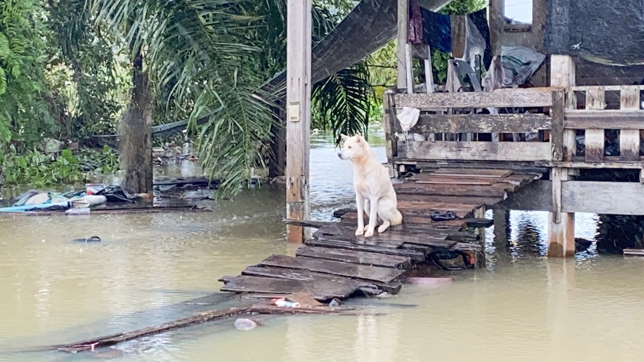กรมอุตุนิยมวิทยา เตือน 14 จังหวัดภาคใต้ ฝนตกหนัก เสี่ยงน้ำท่วมฉับพลัน