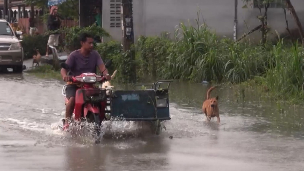 น้ำท่วมสงขลา 8 อำเภอที่รัตภูมิหนักสุด แต่กลับสู่ปกติแล้ว พบเสียชีวิต 1ศพ