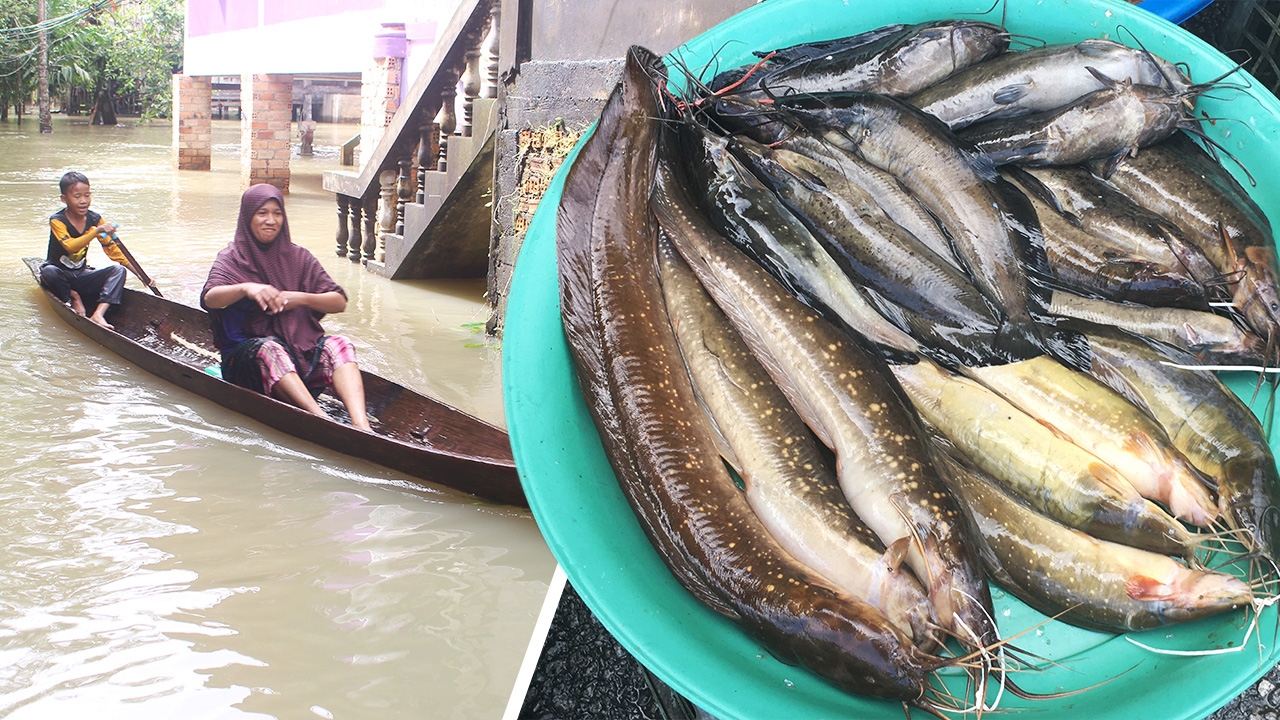 น้ำท่วมนราธิวาส สั่ง 5 อำเภอระวัง ชาวบ้านแห่จับปลาน้ำจืดขาย 