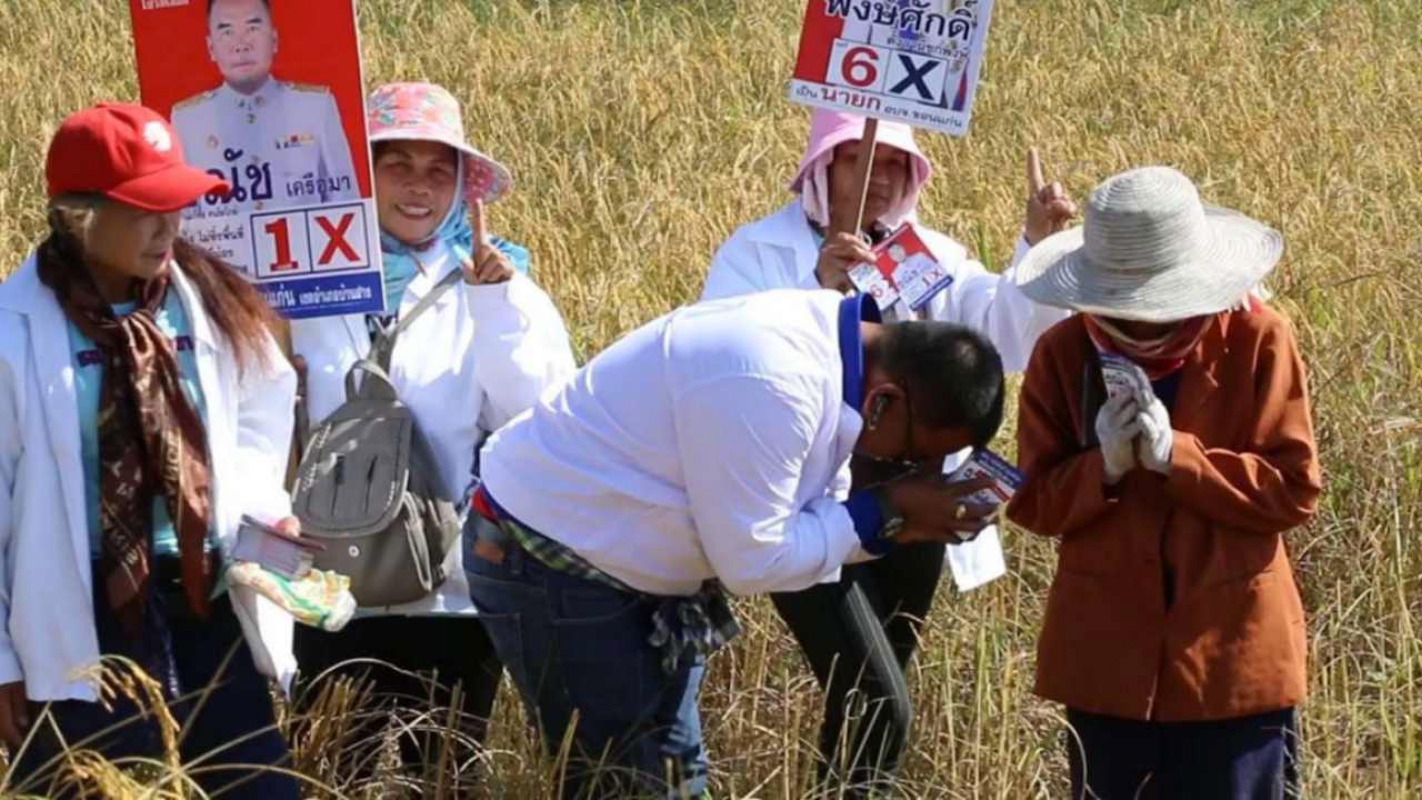 เลือกตั้งฤดูเกี่ยวข้าว ผู้สมัคร อบจ.เดินตามคันนา กราบขอคะแนนเสียง