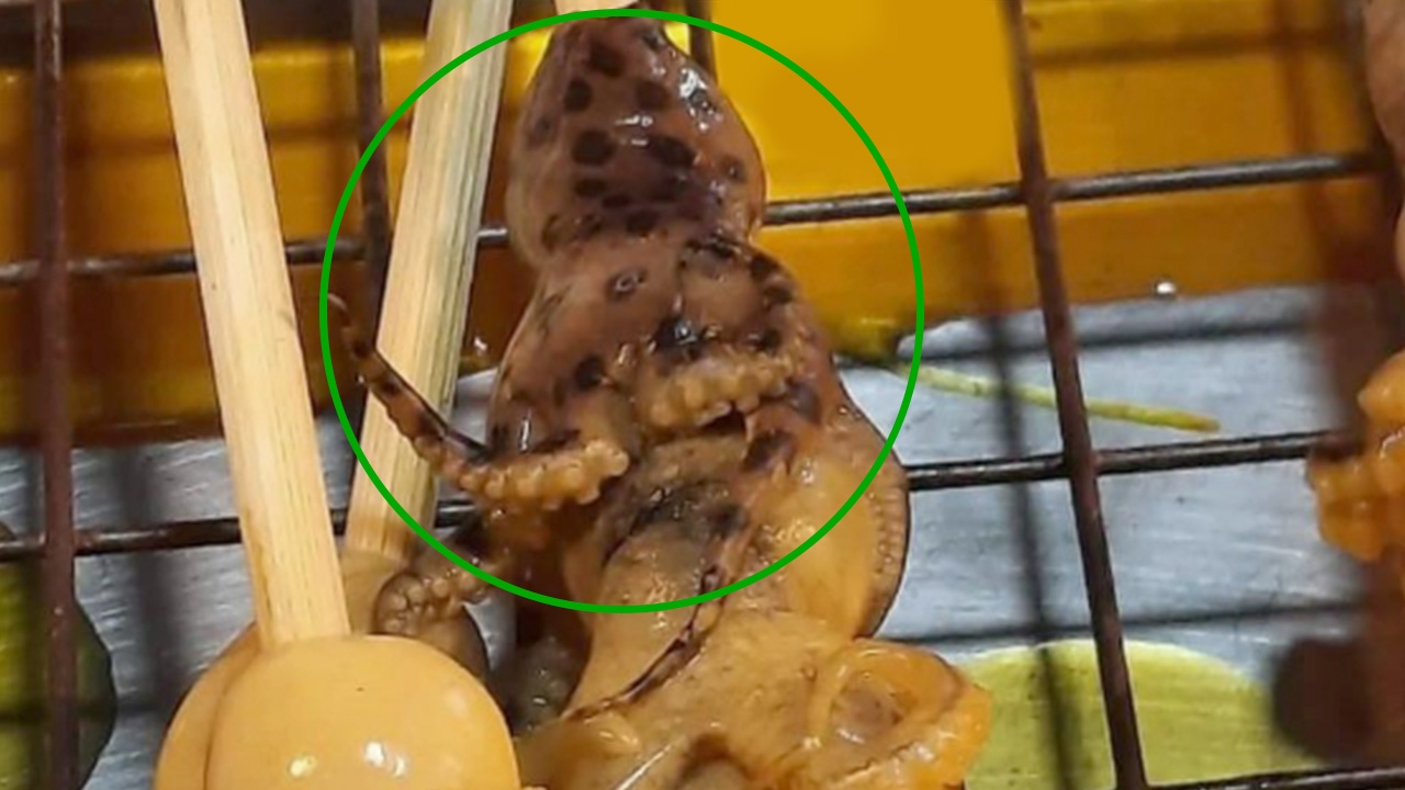 ยังไม่พบผู้ป่วย ได้รับพิษจากการกิน "หมึกบลูริง" เร่งตรวจสอบร้านหมึกย่าง