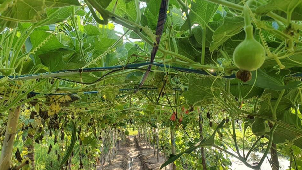 “บิ๊กป้อม” มอบของขวัญปีใหม่เกษตรกร จัดสรรที่ทำกินจนมีผลผลิตสร้างรายได้