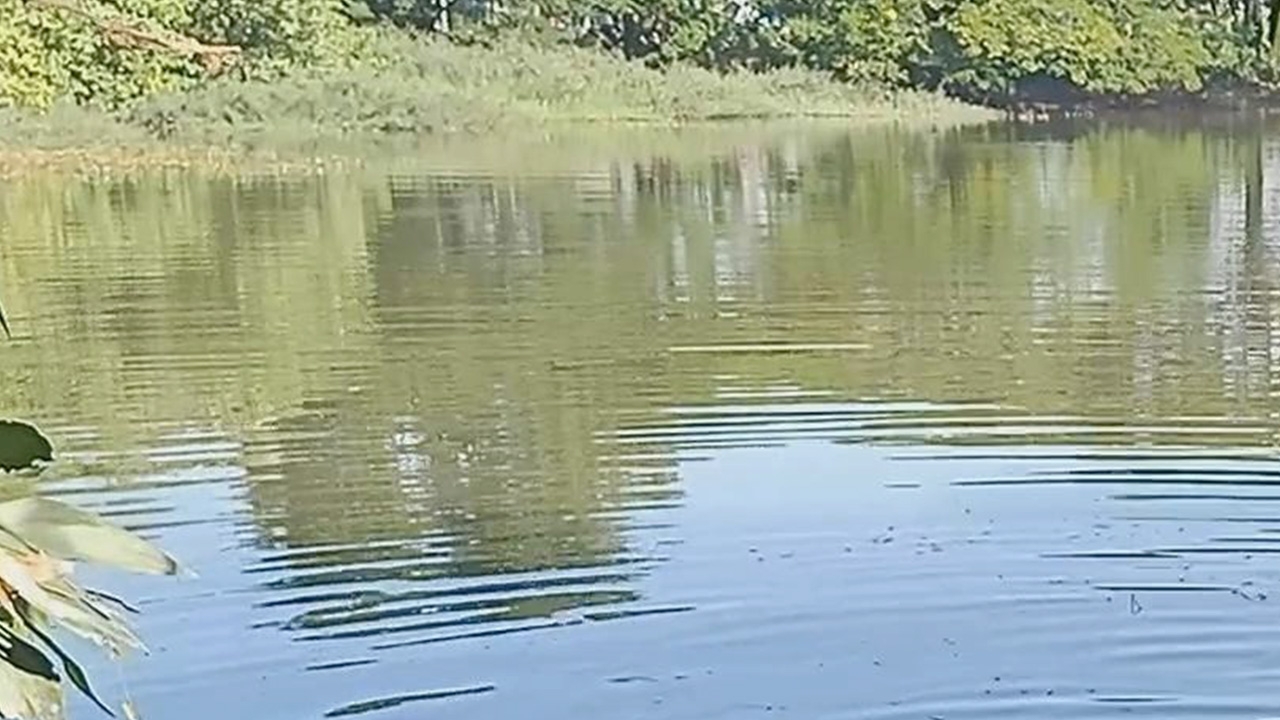 สาวประกันวัย 35 กลุ้มหนี้เครียดแพ้ท้อง เดินลงบ่อน้ำตายทั้งกลมที่อุดรธานี