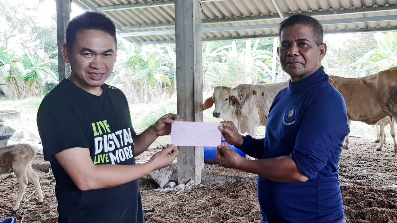นทพ.ช่วยเกษตรพัทลุง จัดชุดผสมเทียมวัว พร้อมเสริมแนวคิดปกป้องสถาบัน