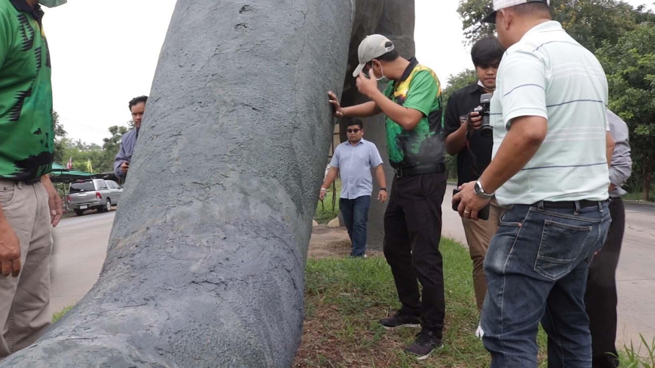 โยธาฯขอนแก่นชี้น้องไดโนทั้ง 4 ชำรุดมาก โครงสร้างไม่แข็งแรงต้องรื้อทั้งหมด