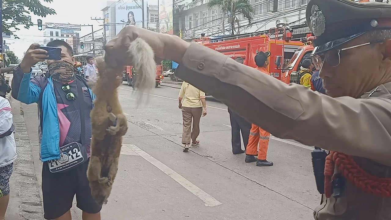 ไฟไหม้ห้องเอกสาร ธ.ทหารไทย ที่อุดรฯ คาด "กระรอกน้อย" คือสาเหตุ 