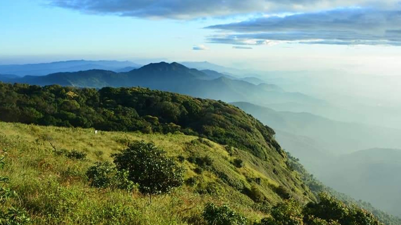 ดอยอินทนนท์ 10 องศา นทท.แห่ชมทะเลหมอก ดูอาทิตย์ยามเช้ากันคึกคัก