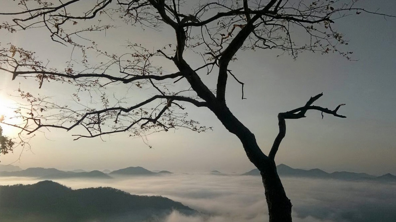 สภาพอากาศวันนี้ ไทยตอนบนยังคงมีอากาศเย็น กทม.อุณหภูมิต่ำสุด 21 องศา