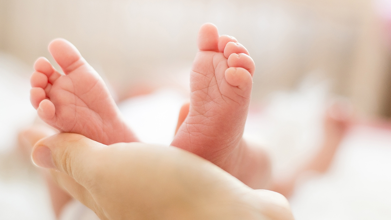 Born/ borne/ birth