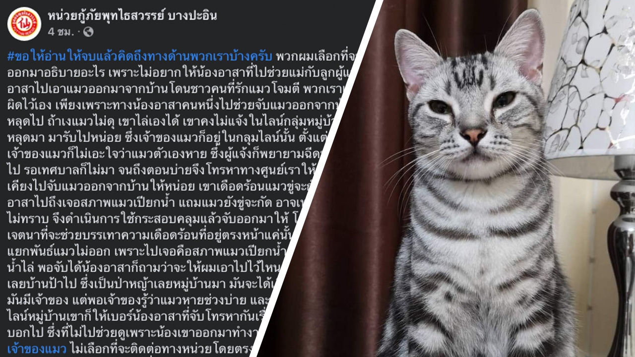 ดราม่าแมวเจ้าสัว กู้ภัยแจงอีกมุม ไม่ได้มีเจตนาจะฆ่าแมว