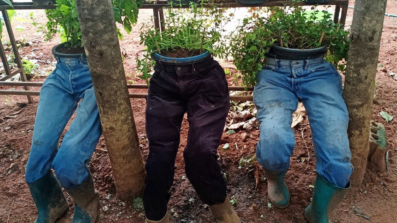 กางเกงปลูกต้นไม้ เลือกสไตล์ด้วยตัวเอง