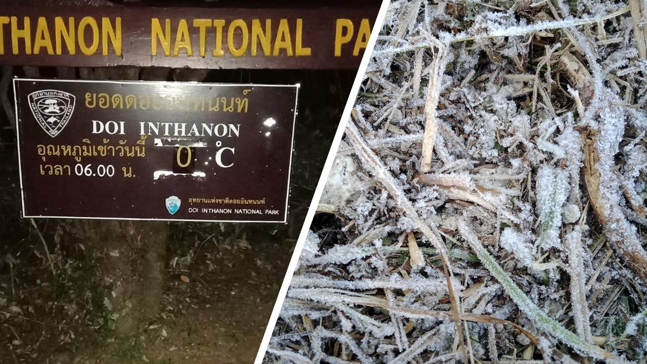หนาวมาก! "ดอยอินทนนท์" 0 องศา นทท.แห่ดูทะเลหมอก ไม่สนโควิด-19