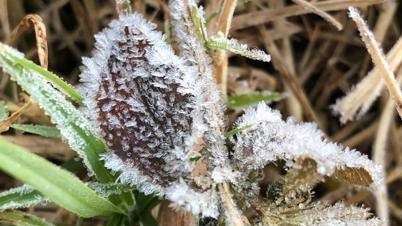 สภาพอากาศวันนี้ ลมหนาวระลอกใหม่ เย็นสะท้าน-หมอกหนา ใต้ฝนเพิ่มอันตราย
